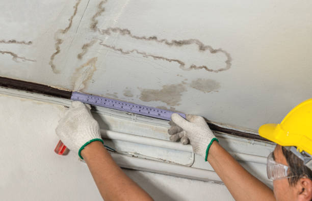 Reliable Mold Remediation contractor in Reading, MI by Local Water Damage Repair